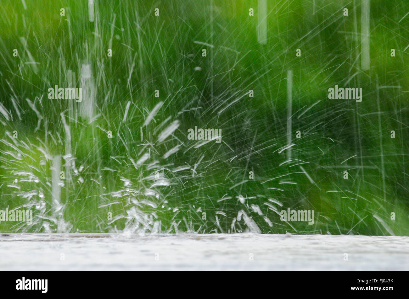 Pioggia, Regen, temporale, Gewitter, Gewitterregen, Tropfen, gocce, Wasser, acqua, Mauren, Liechtenstein 2 Foto Stock