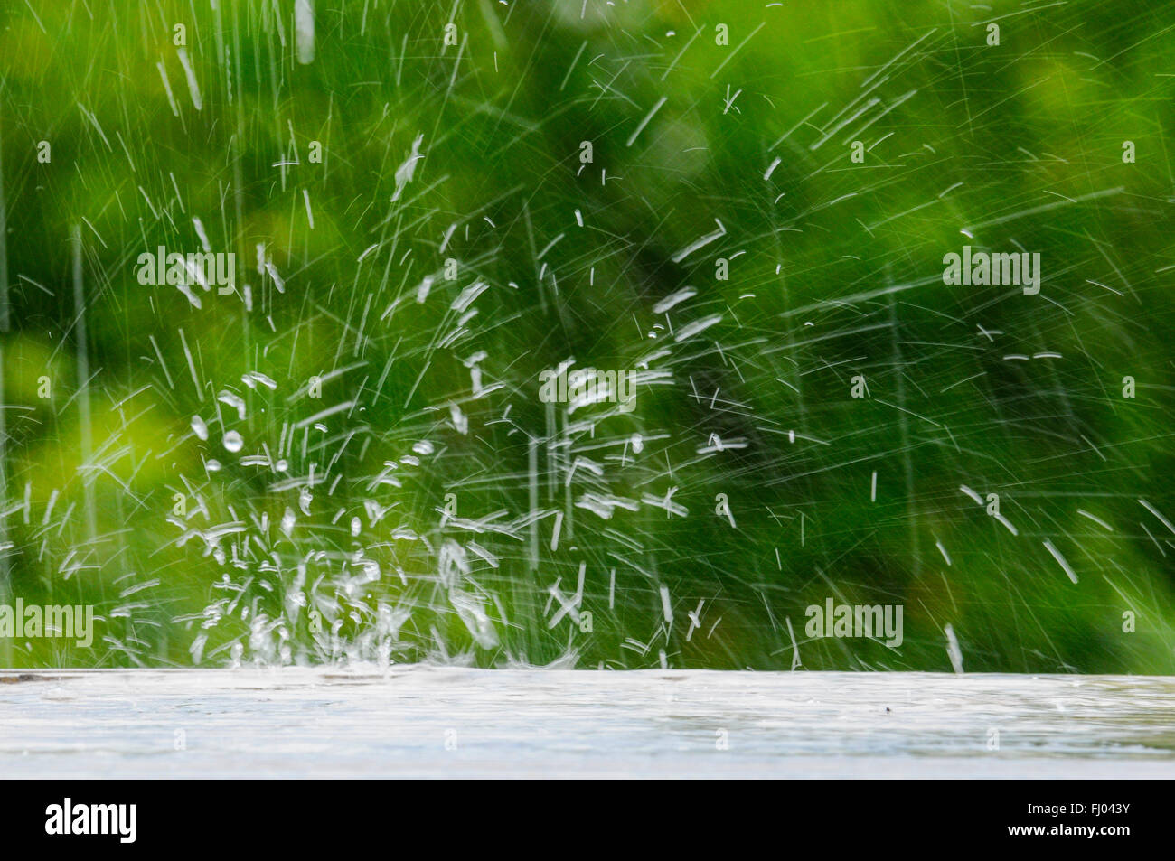 Pioggia, Regen, temporale, Gewitter, Gewitterregen, Tropfen, gocce, Wasser, acqua, Mauren, Liechtenstein 2 Foto Stock