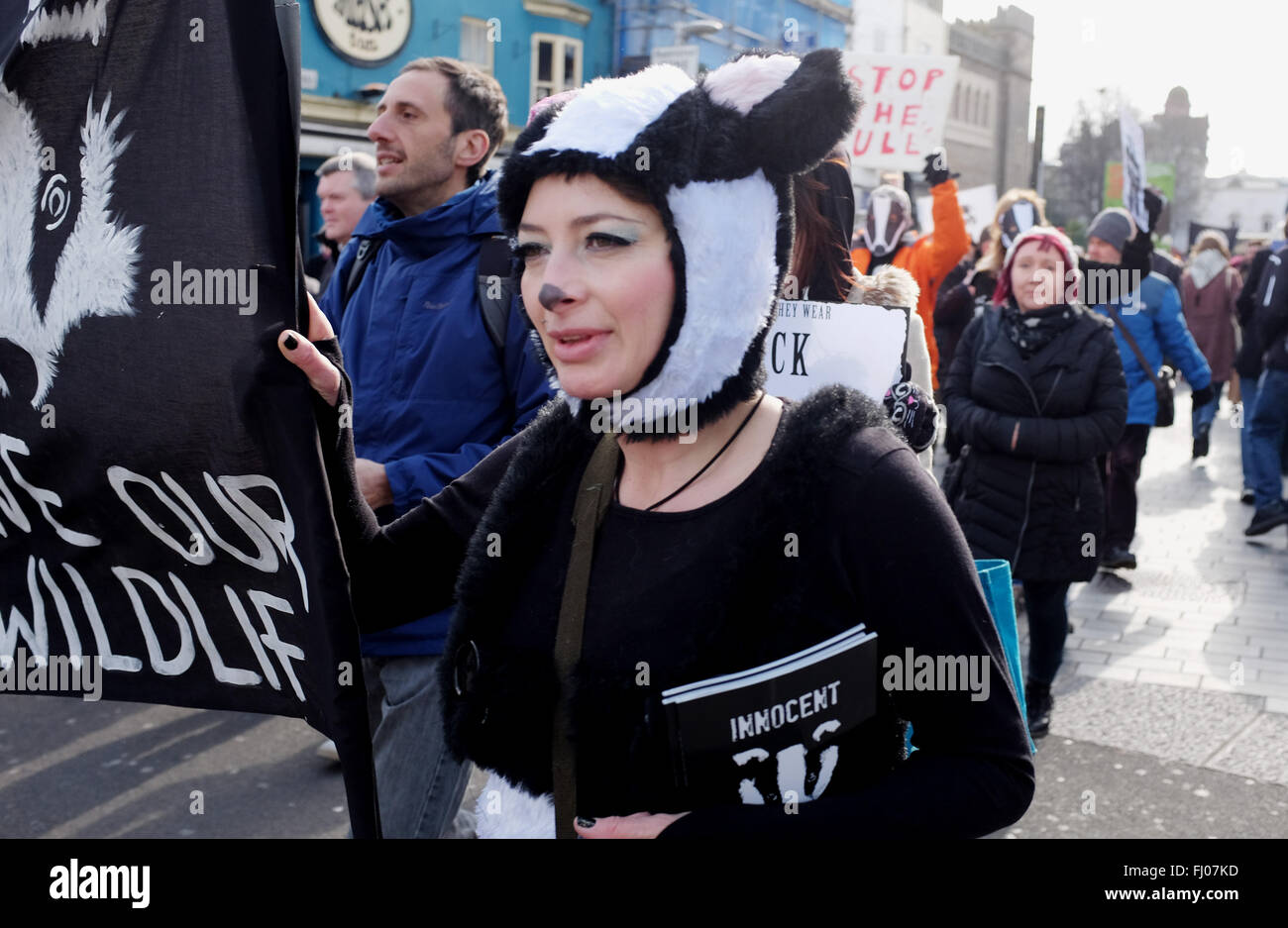 Brighton Regno Unito 27 Febbraio 2016 - Anti Badger Cull manifestanti radunati nel centro città di Brighton prima voce off su un marzo per la spiaggia di credito oggi: Simon Dack/Alamy Live News Foto Stock