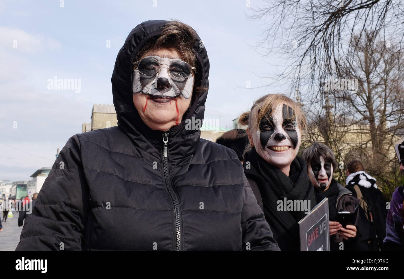 Brighton Regno Unito 27 Febbraio 2016 - Anti Badger Cull manifestanti radunati nel centro città di Brighton prima voce off su un marzo per la spiaggia di credito oggi: Simon Dack/Alamy Live News Foto Stock
