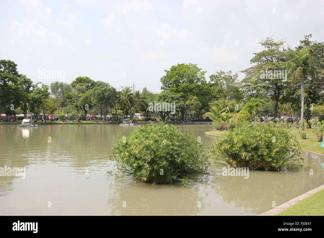 Un lago nel Parco Chatuchak, Bangkok, Thailandia Foto Stock