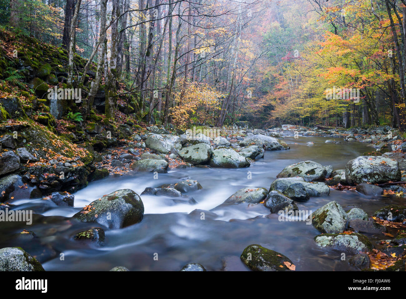 Autunno lungo il polo centrale del piccolo fiume nel Parco Nazionale di Great Smoky Mountains, Tennessee, Stati Uniti d'America. Foto Stock