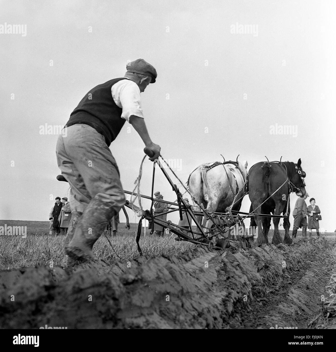 Gli agricoltori di aratura a concorrenza Cruckton su Shropshire 1960s Foto Stock