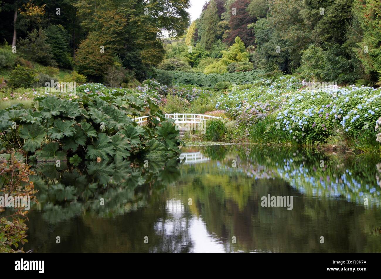 Stagno inferiore e il ponte a Trebah giardino, Falmouth, Cornwall Foto Stock