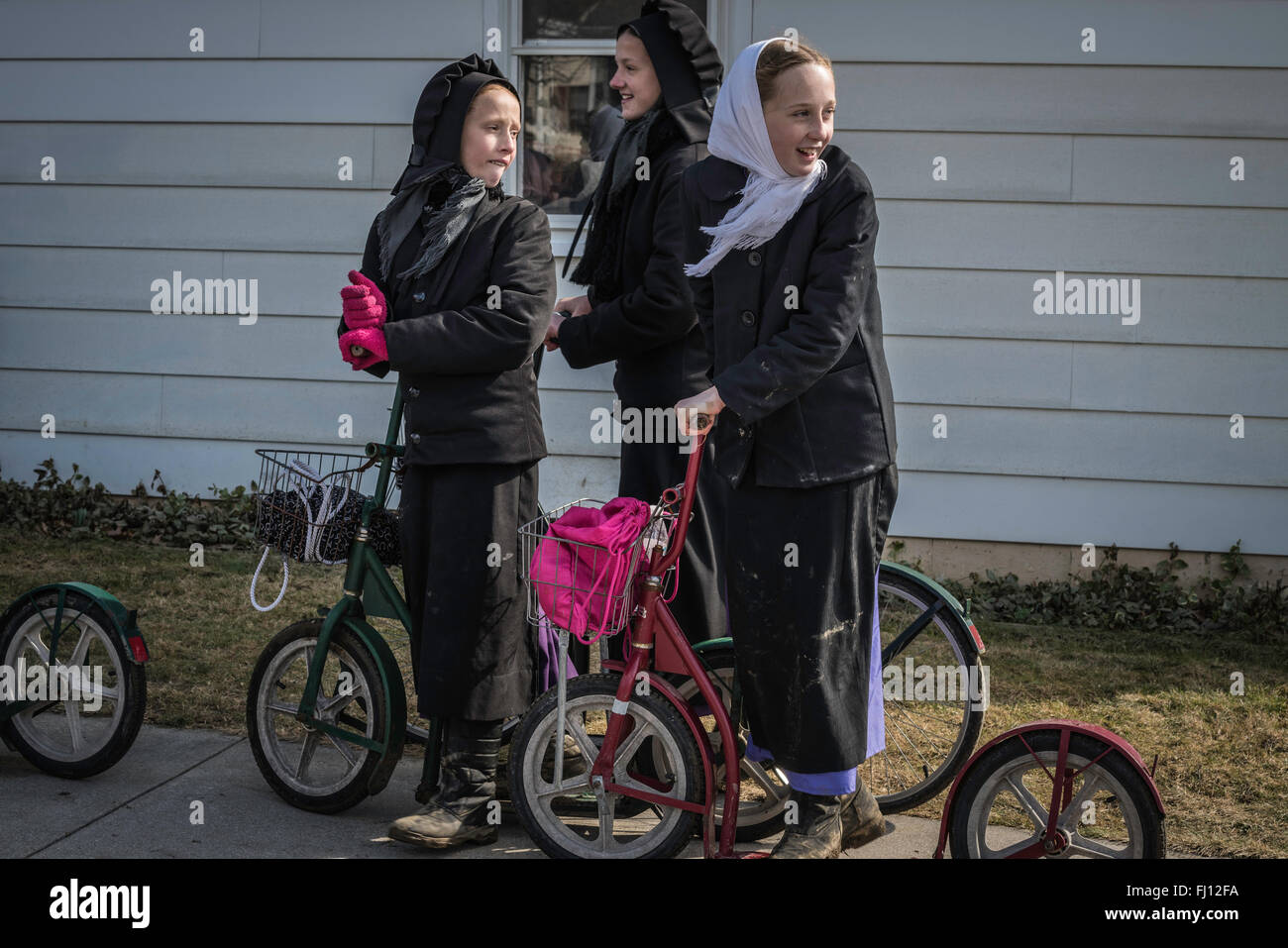 Lancaster, Pennsylvania, USA. Il 27 febbraio, 2016. Fango Amish Vendita, terrà ogni primavera in Lancaster, PA. La raccolta di fondi per gli enti locali dipartimenti di fuoco. Credito: creativa collezione TOLBERT FOTO/Alamy Live News Foto Stock