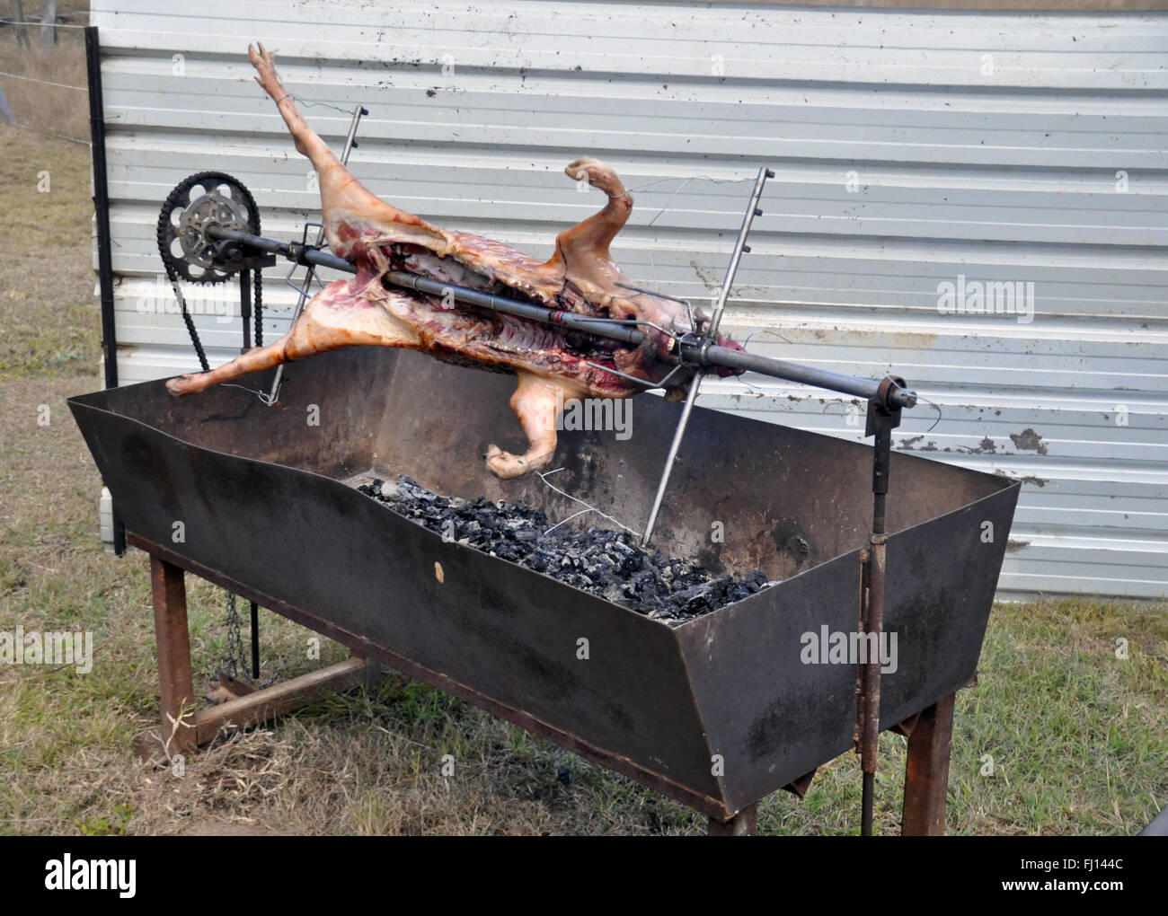 CUCINARE UN MAIALE INTERO SU UNO SPIEDO ROTISSERS Foto Stock