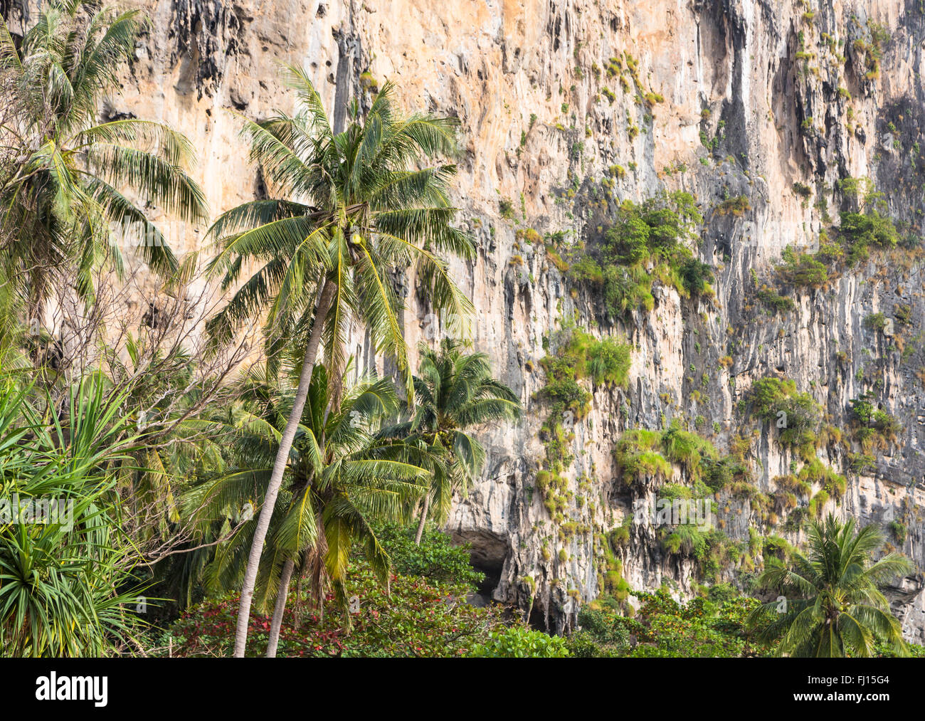 Straordinaria formazione carsica con palme sulla Railey Beach a Krabi nel sud della Thailandia. Foto Stock