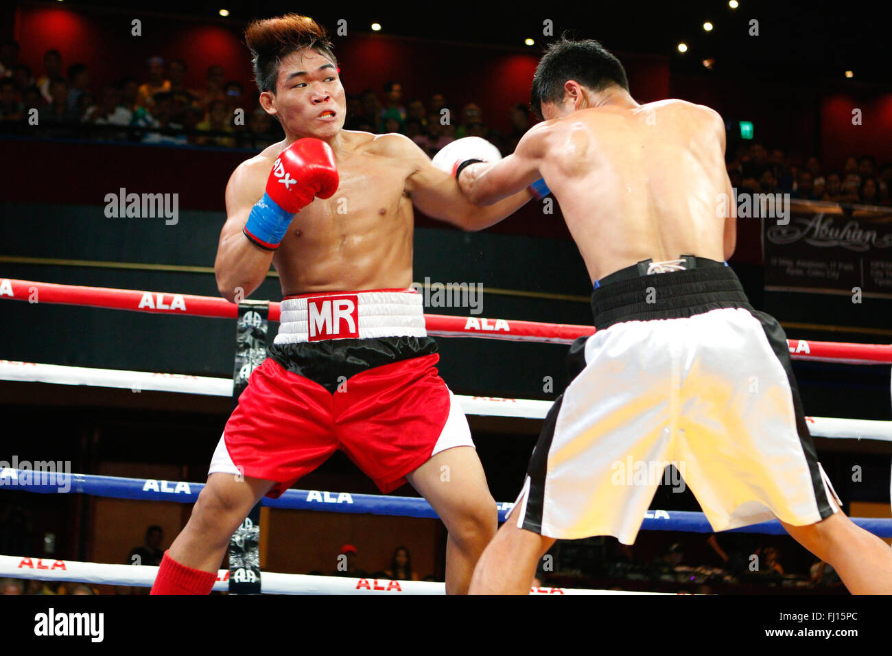 Waterfront Hotel,Cebu, Filippine 27/02/2016.Pinoy orgoglio 35 'Stelle del futuro" pugilato evento. In un peso piuma matchup,Muhammad Ridhwan di Singapore (guanti bianchi) ha preso un 4 round decisione su pugile filippino Melchor Roda Foto Stock