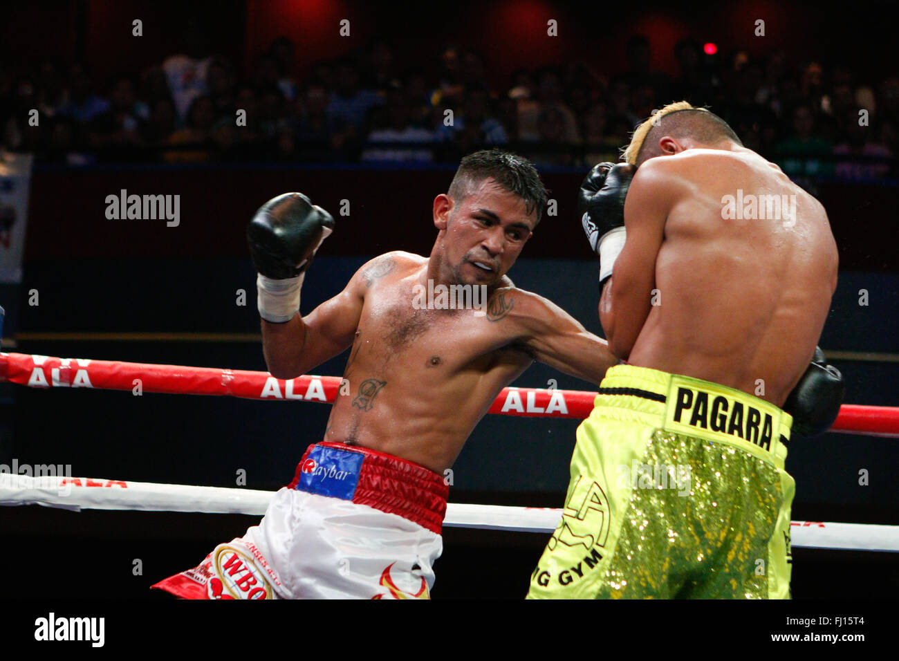 Waterfront Hotel,Cebu, Filippine 27/02/2016.Pinoy orgoglio 35 'Stelle del futuro" pugilato evento. Filippino principe Albert Pagara e nicaraguense Yesner challenger Talavera battaglia per la WBO Intercontinental Jr.piuma campionato.Pagara prendendo una decisione unanime su dodici tornate e ora si estende il suo record imbattuto a W26 L0 D0. Foto Stock