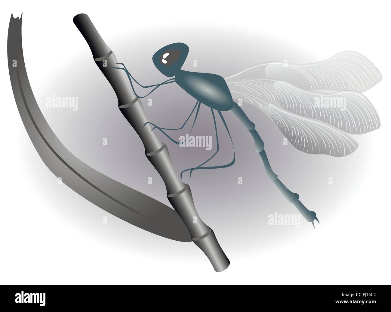 Dragonfly seduto su un ramo. Bianco e nero illustrazione. EPS10 illustrazione vettoriale Illustrazione Vettoriale