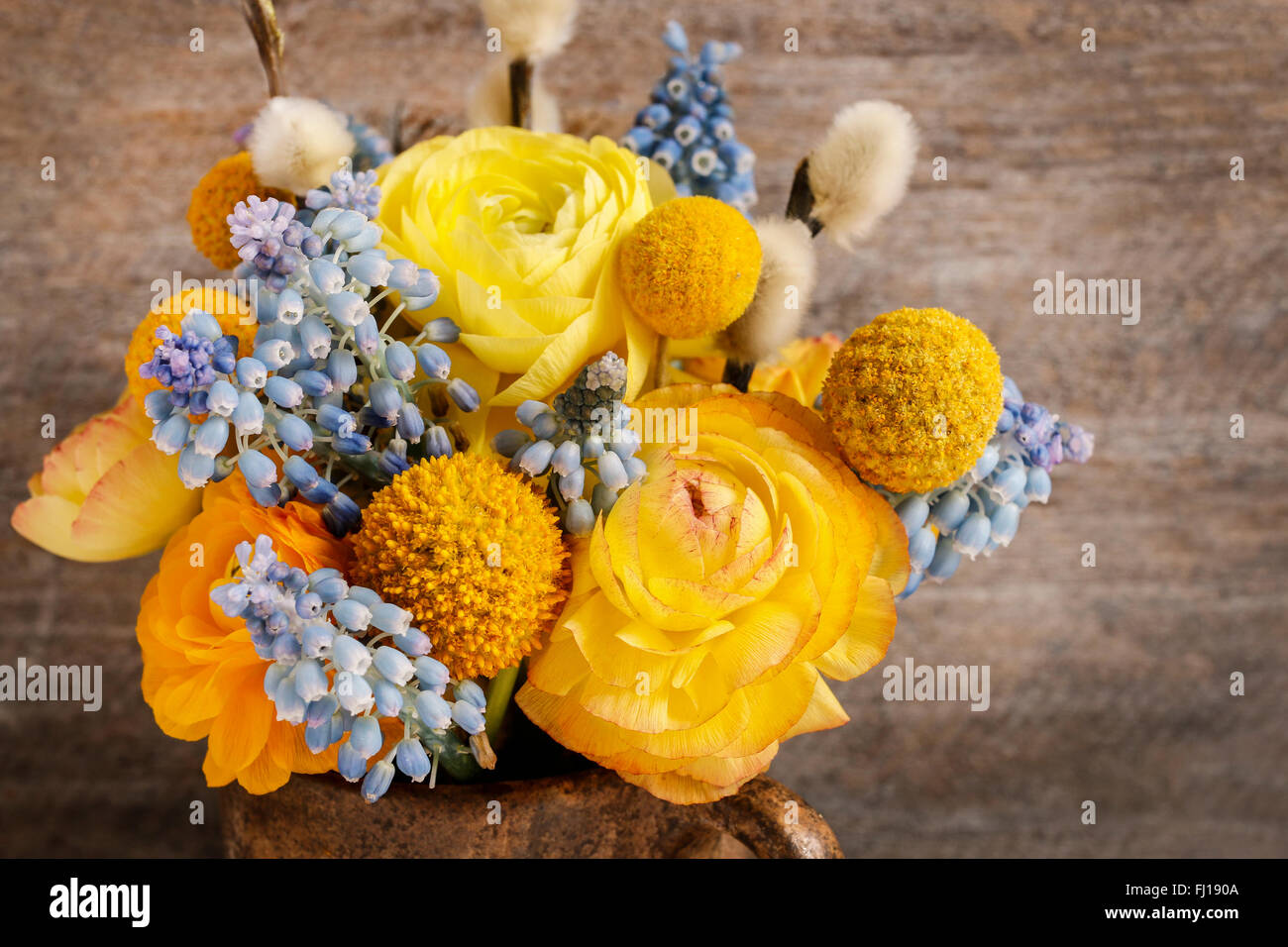 Bouquet di ranuncoli (ranuncolo persiano) e muscari (giacinto d'uva) Fiori Foto Stock