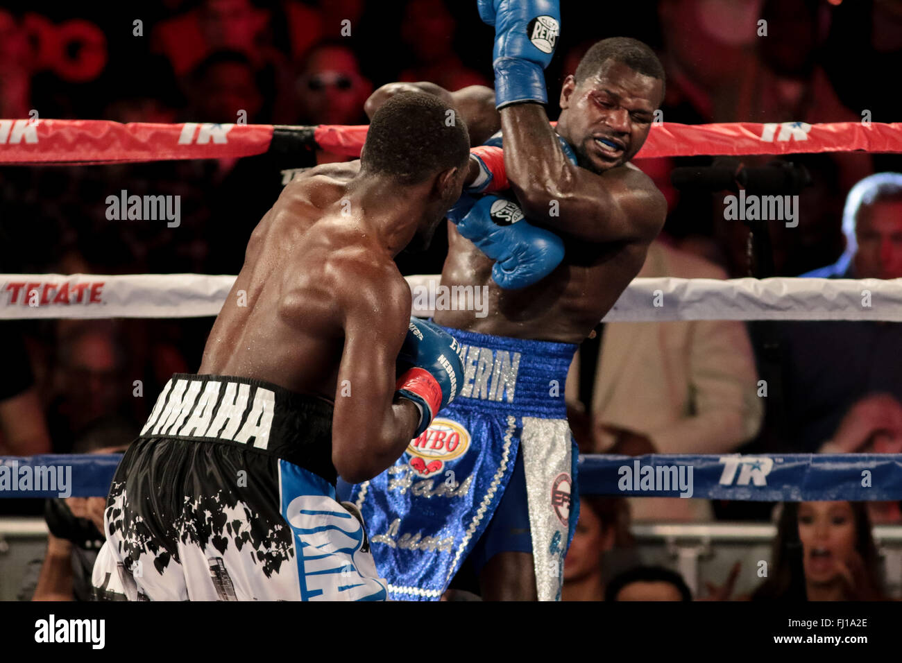 New York, New York, Stati Uniti d'America. 28 Feb, 2016. TERENCE CRAWFORD (blu, bianco e nero trunk) E HENRY LUNDY battaglia in un super leggero bout al Madison Square Garden di New York, New York. Credito: Joel Plummer/ZUMA filo/Alamy Live News Foto Stock