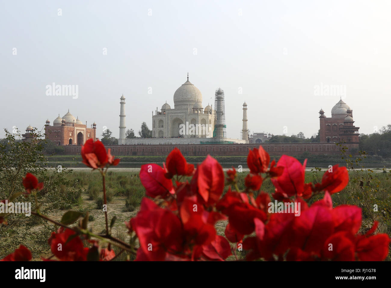 Questo è il retro del Taj Mahal dal lato opposto del fiume Yamuna Agra, India Foto di Palash Khan Foto Stock