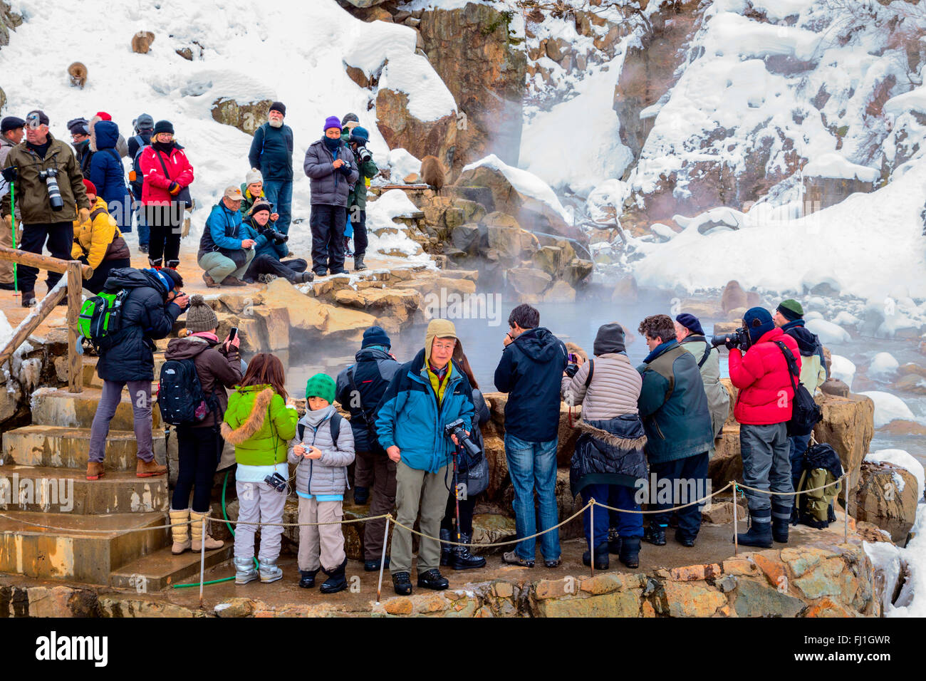 I turisti a guardare la neve scimmie Jigokudani a caldo molla, Giappone. Foto Stock