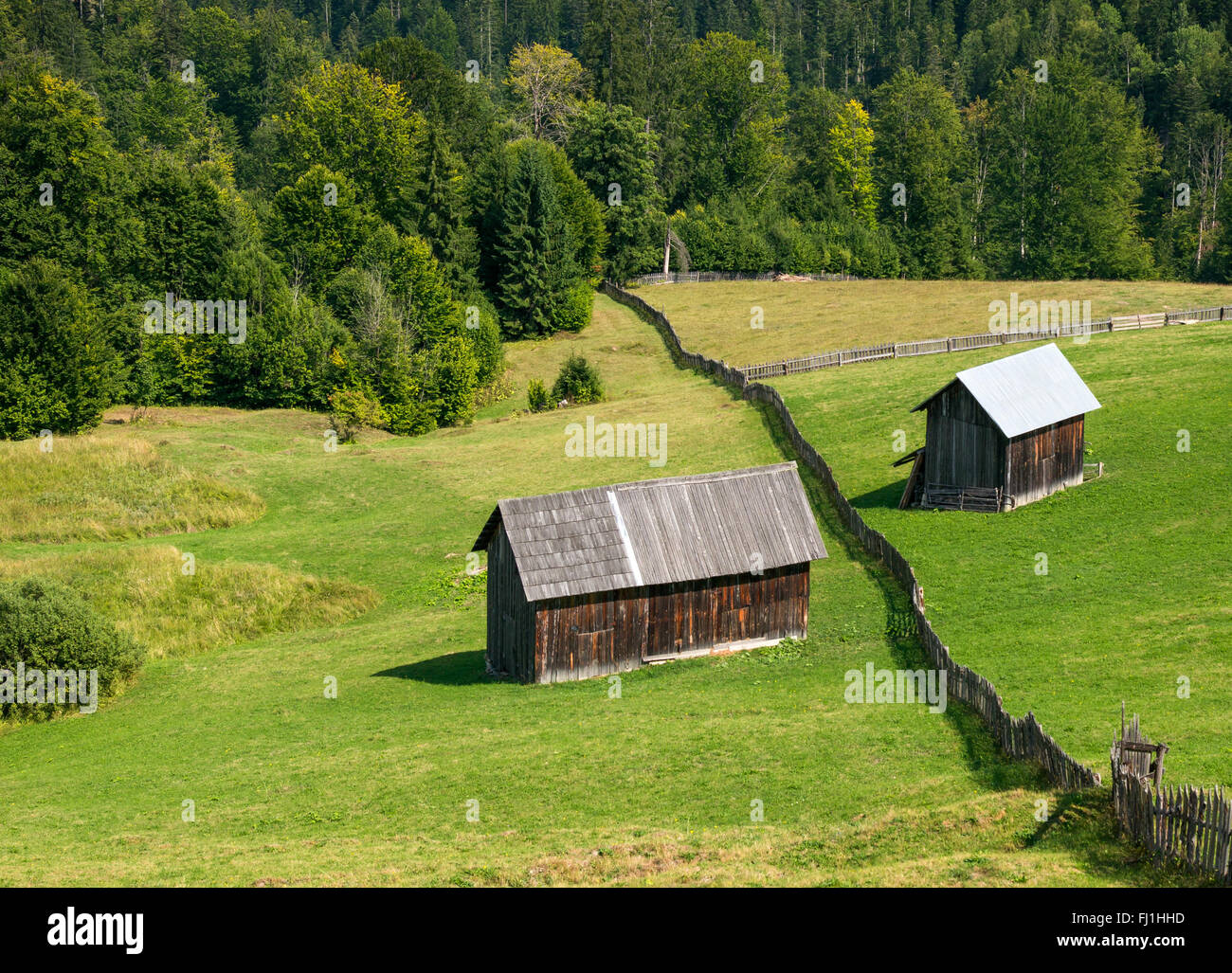 Baracche di legno sul campo con la foresta dietro Foto Stock
