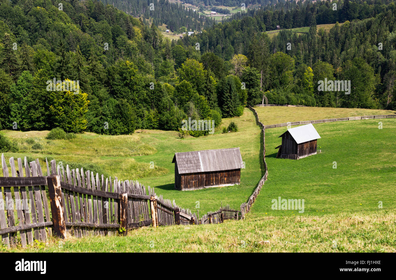 Vecchia casa in legno sulla collina da qualche parte in Bucovina Romania Foto Stock