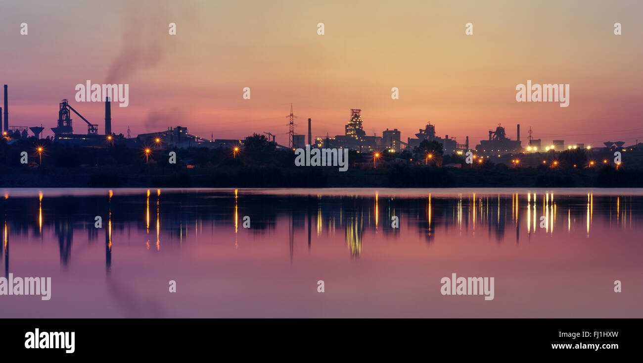 Impianto silhouette al tramonto mirroring su acqua Foto Stock