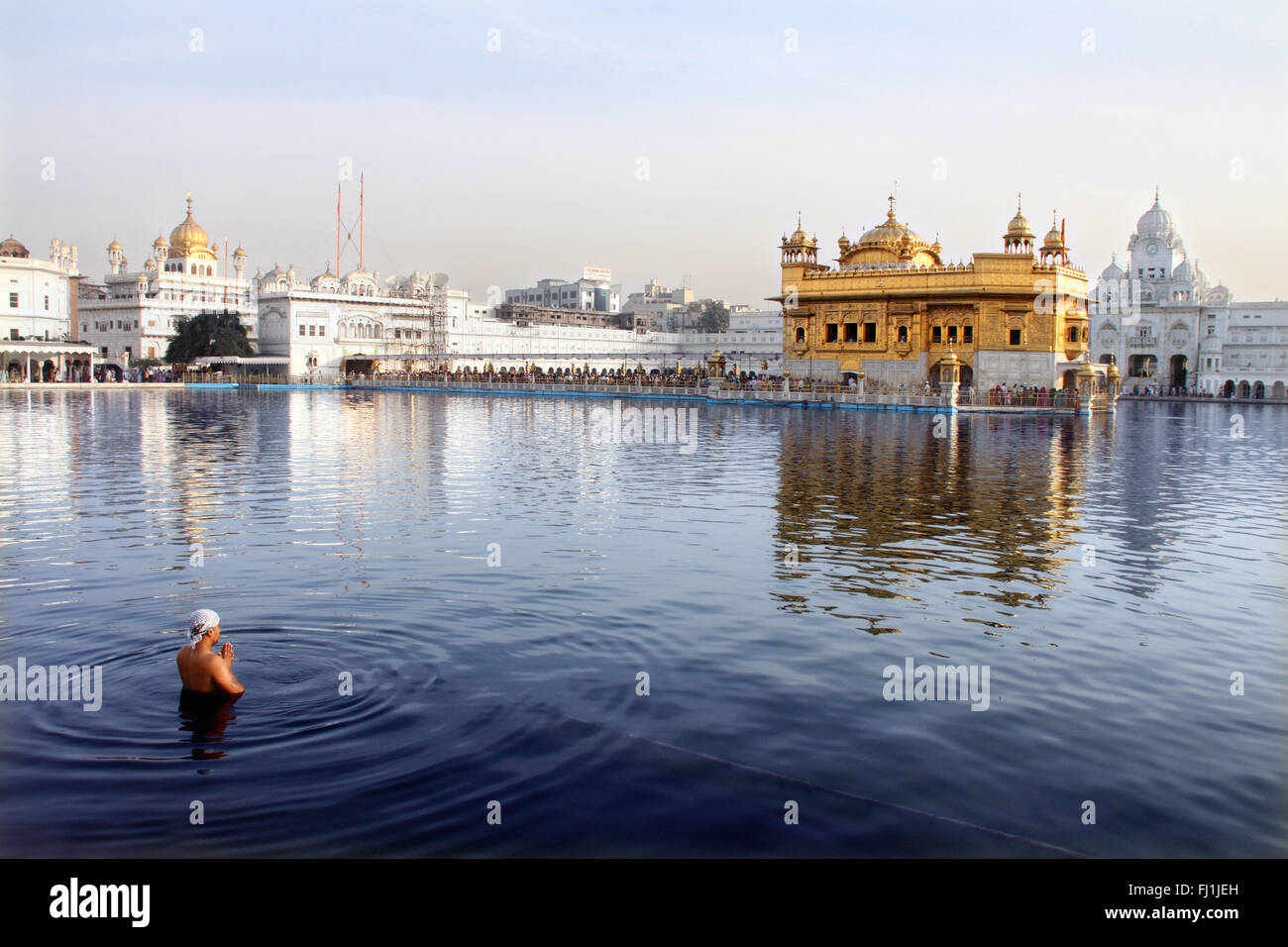 Un uomo sikh prega nel lago intorno al tempio d'oro, Amritsar , India Foto Stock