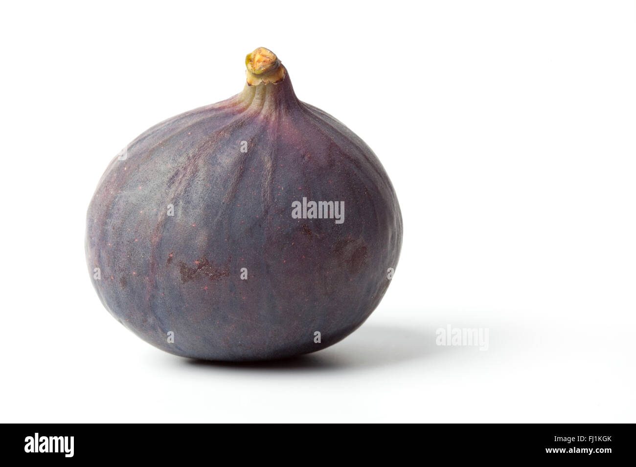 Intero fresco viola singola figura su sfondo bianco Foto Stock