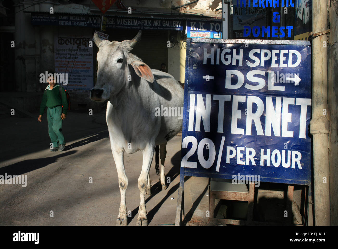 Vacca sacra con Cybercafé sign in una strada di Jaisalmer, India Foto Stock