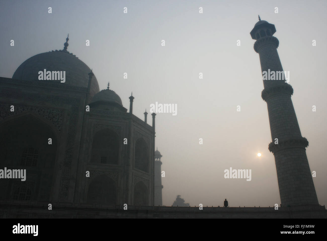 Taj Mahal nelle prime ore del mattino, Agra India Foto Stock