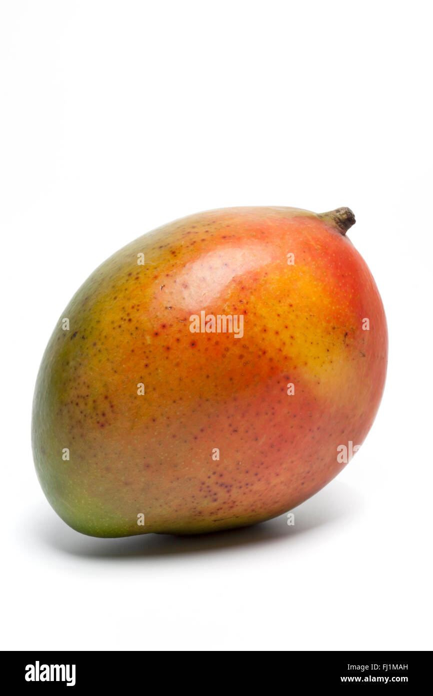 Fresche e mature di mango singolo su sfondo bianco Foto Stock
