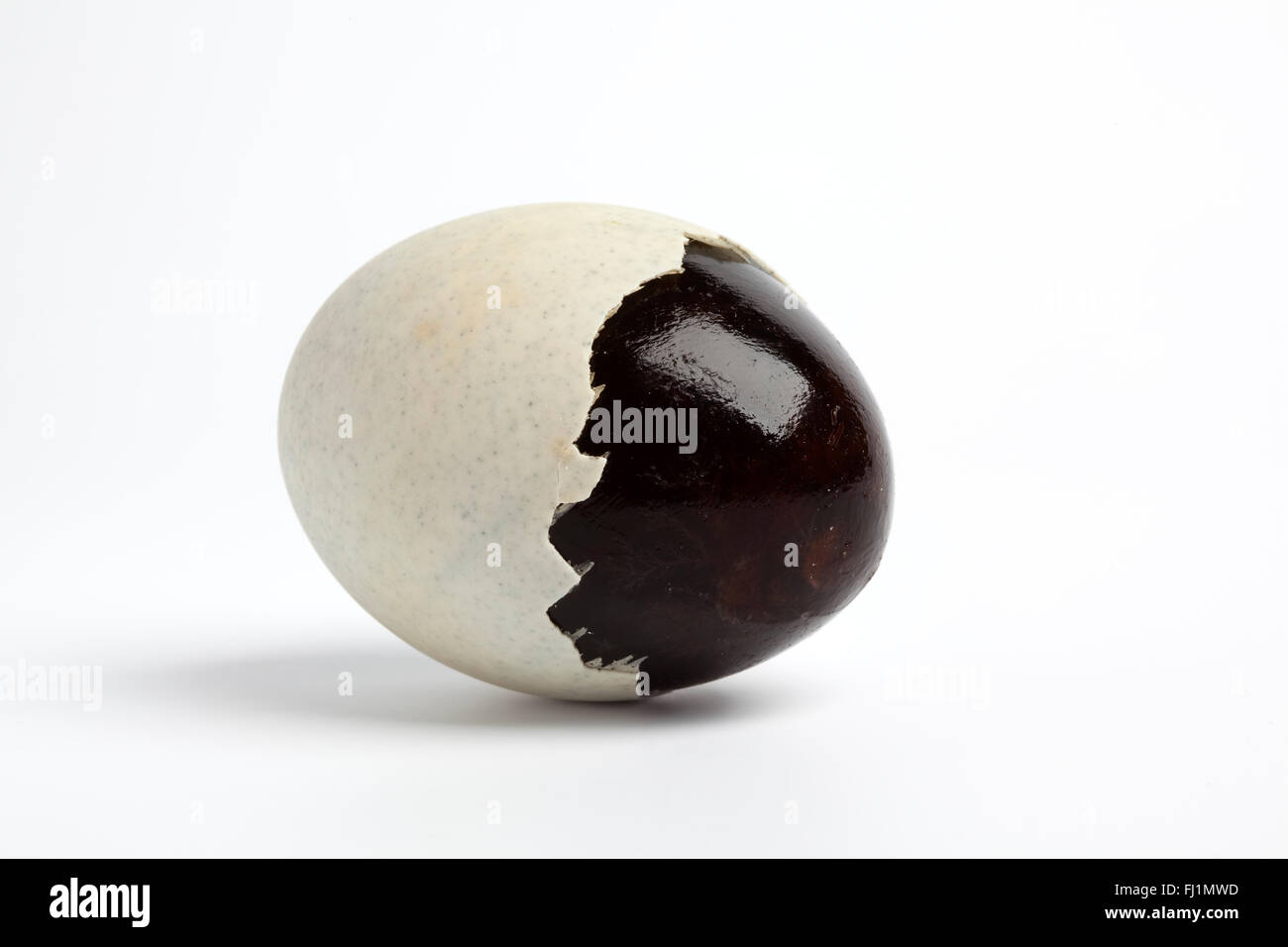 Sbucciate parziale mille anni Duck egg su sfondo bianco Foto Stock