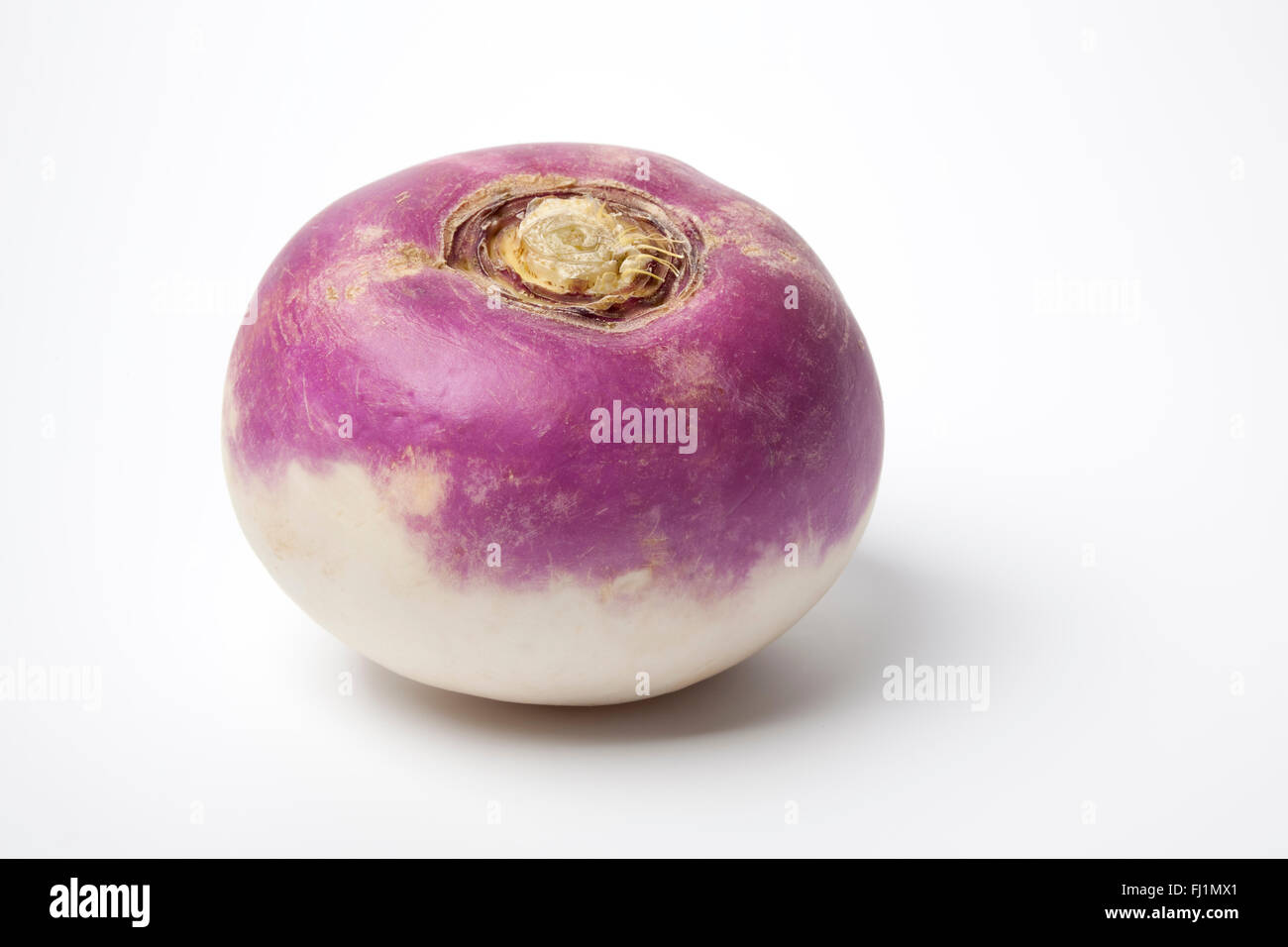 Un intero fresco con testa viola rapa su sfondo bianco Foto Stock
