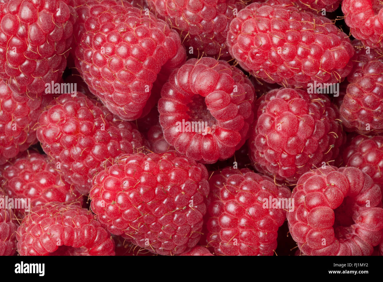 Fresche lamponi maturi close up full frame Foto Stock