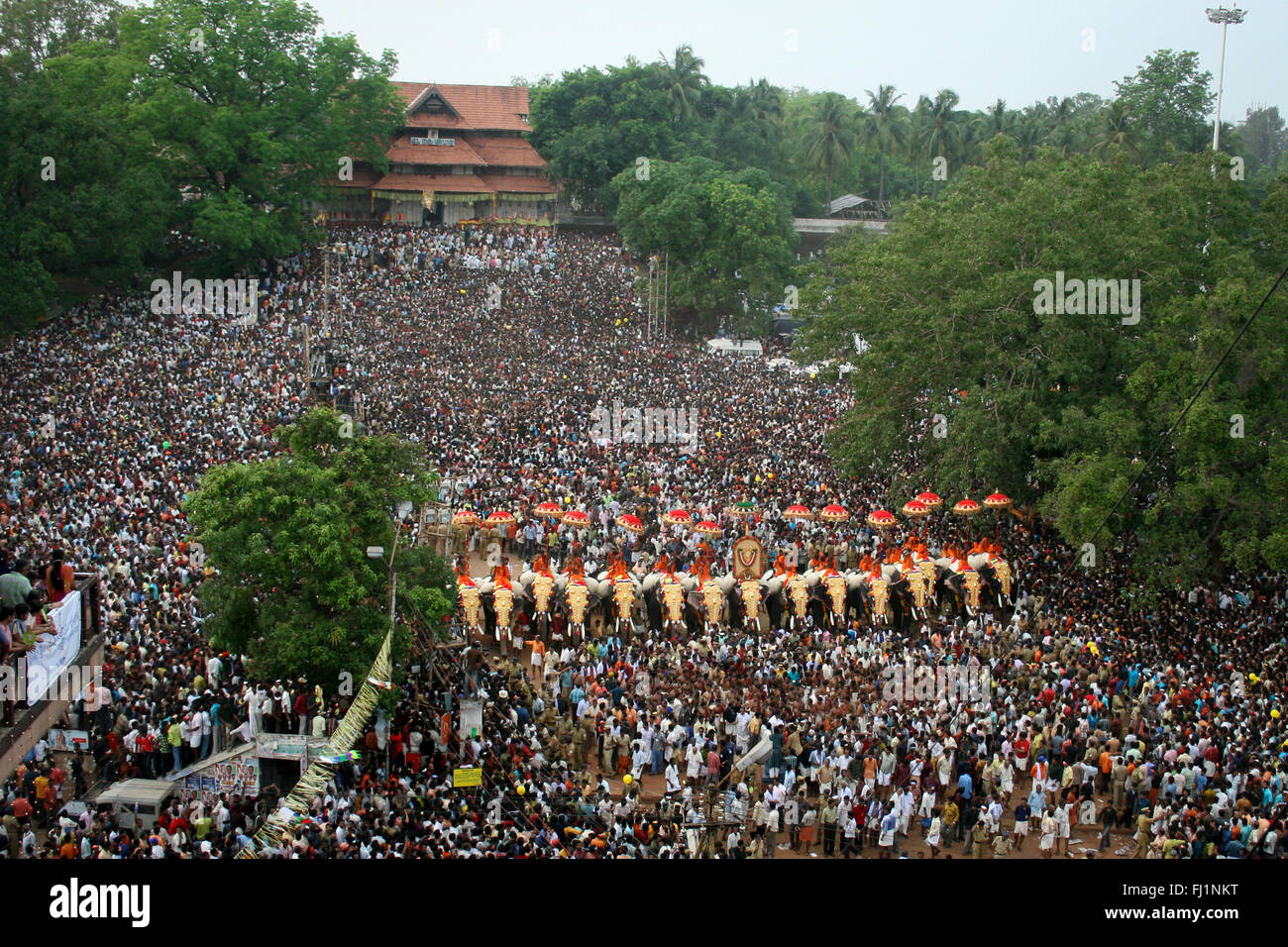 La folla con gli elefanti durante Pooram festival di Thrissur, Kerala, India Foto Stock