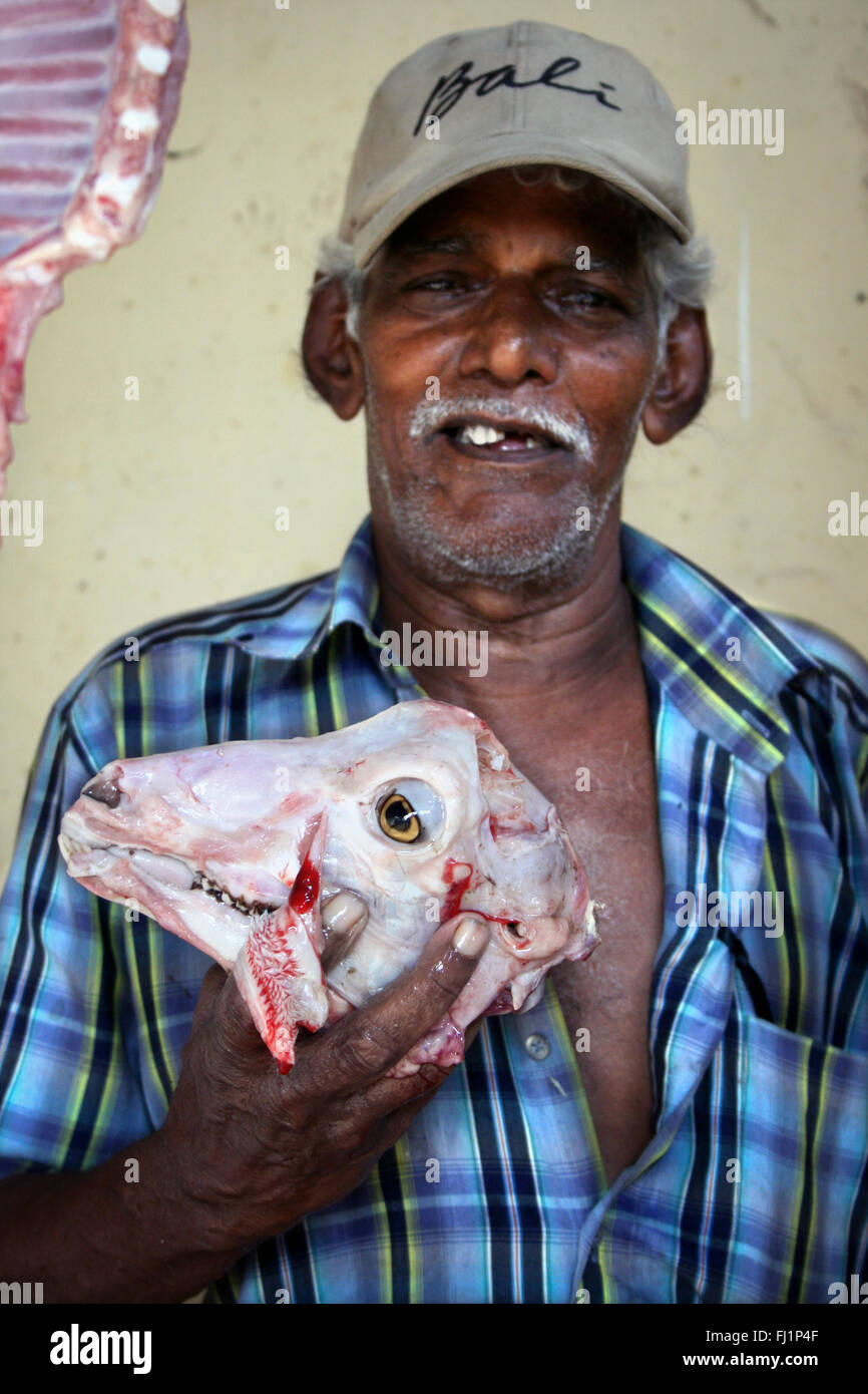 Butcher con pecora morta di montone testa nel mercato in Fort Kochi, Kerala, India Foto Stock