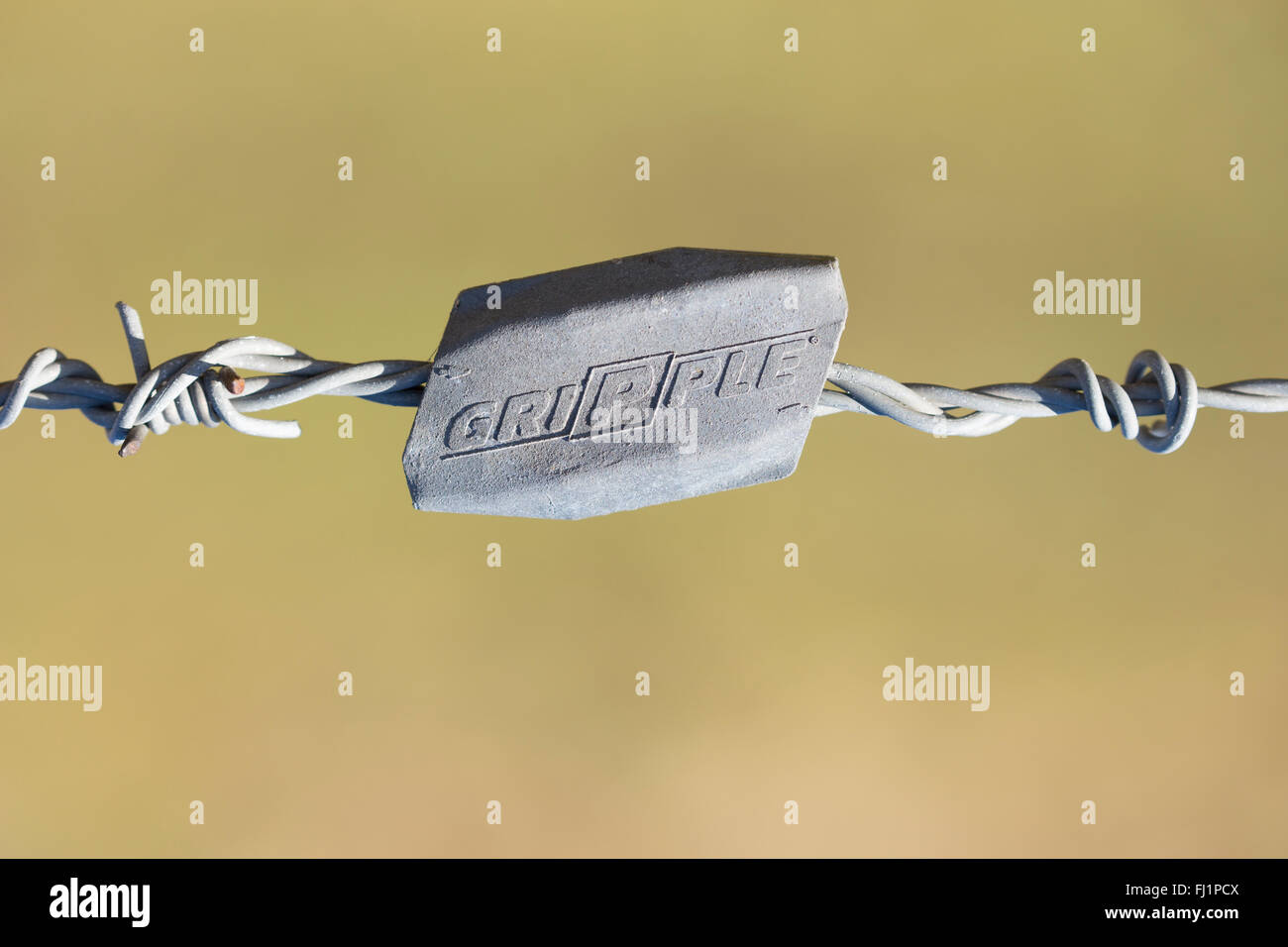 Gripple filo joiner e tenditore, utilizzato per unire il filo spinato. Foto Stock