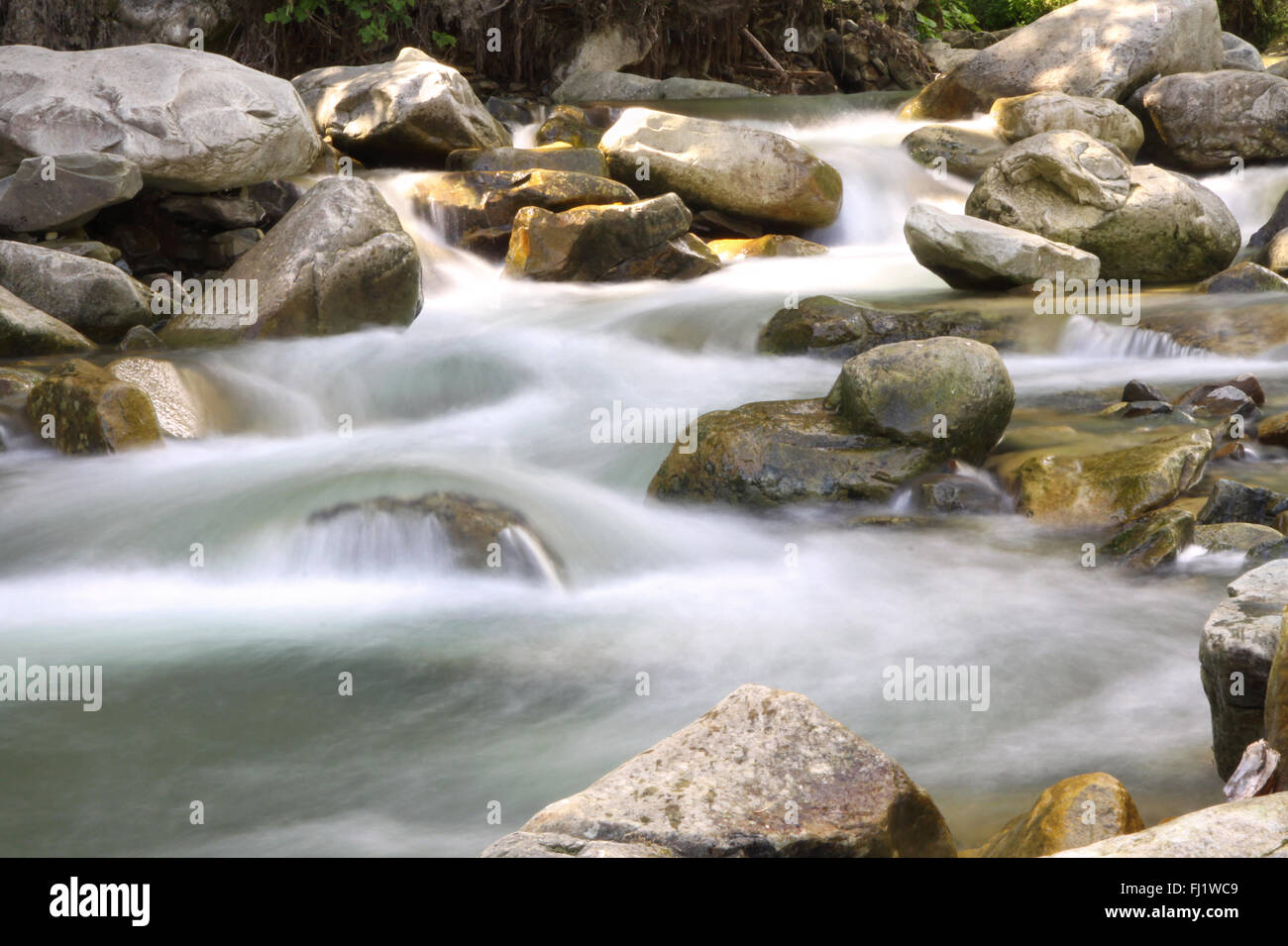 Bella cascata nella foresta dei Carpazi, Ucraina. Esposizione lunga Foto Stock