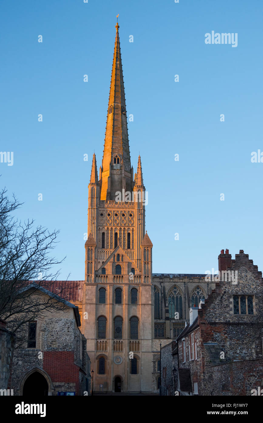 Norwich Cathedral, Foto Stock