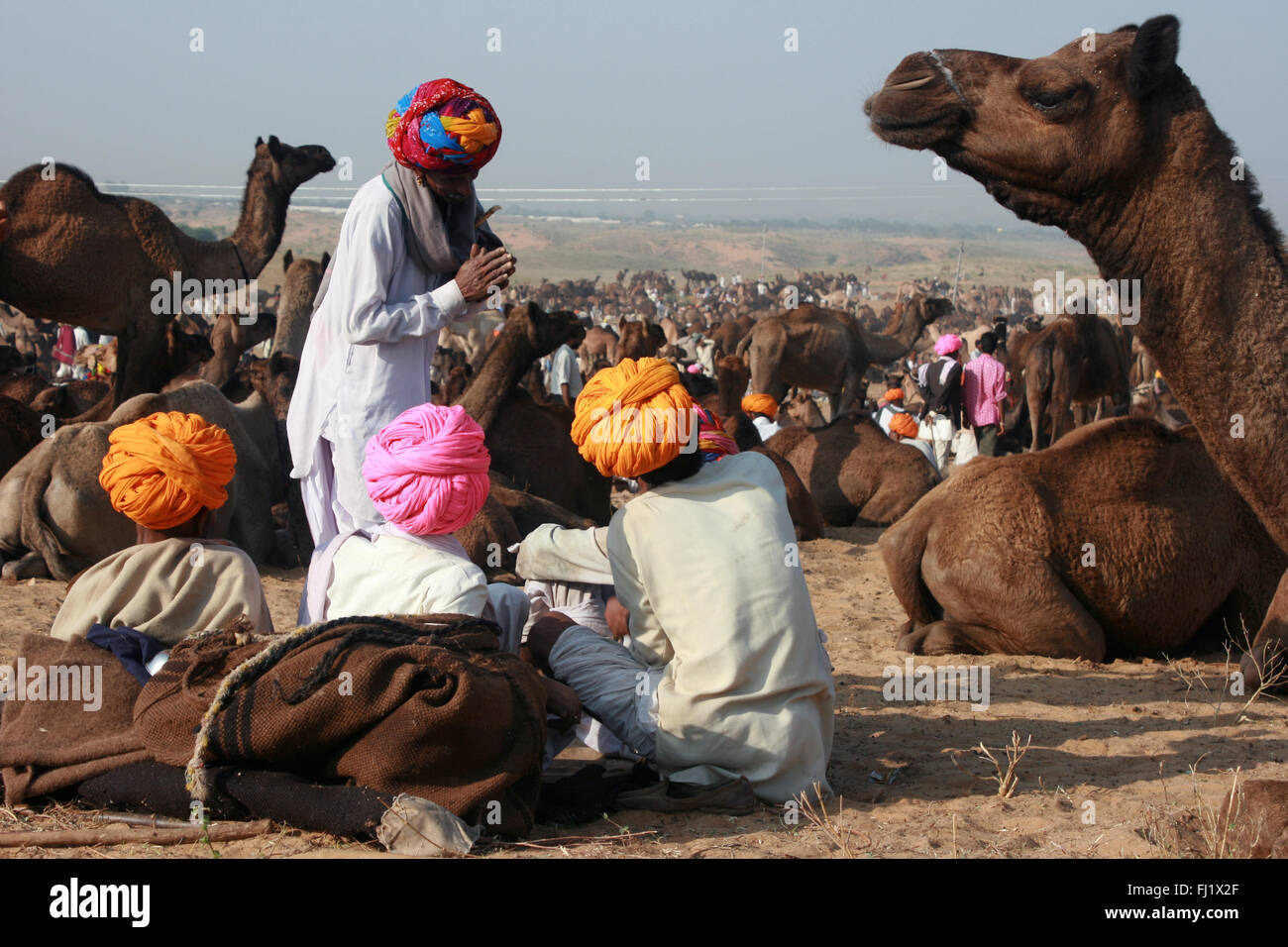 I cammelli e uomini di Rajasthani con turbante durante il Pushkar camel fair, India Foto Stock