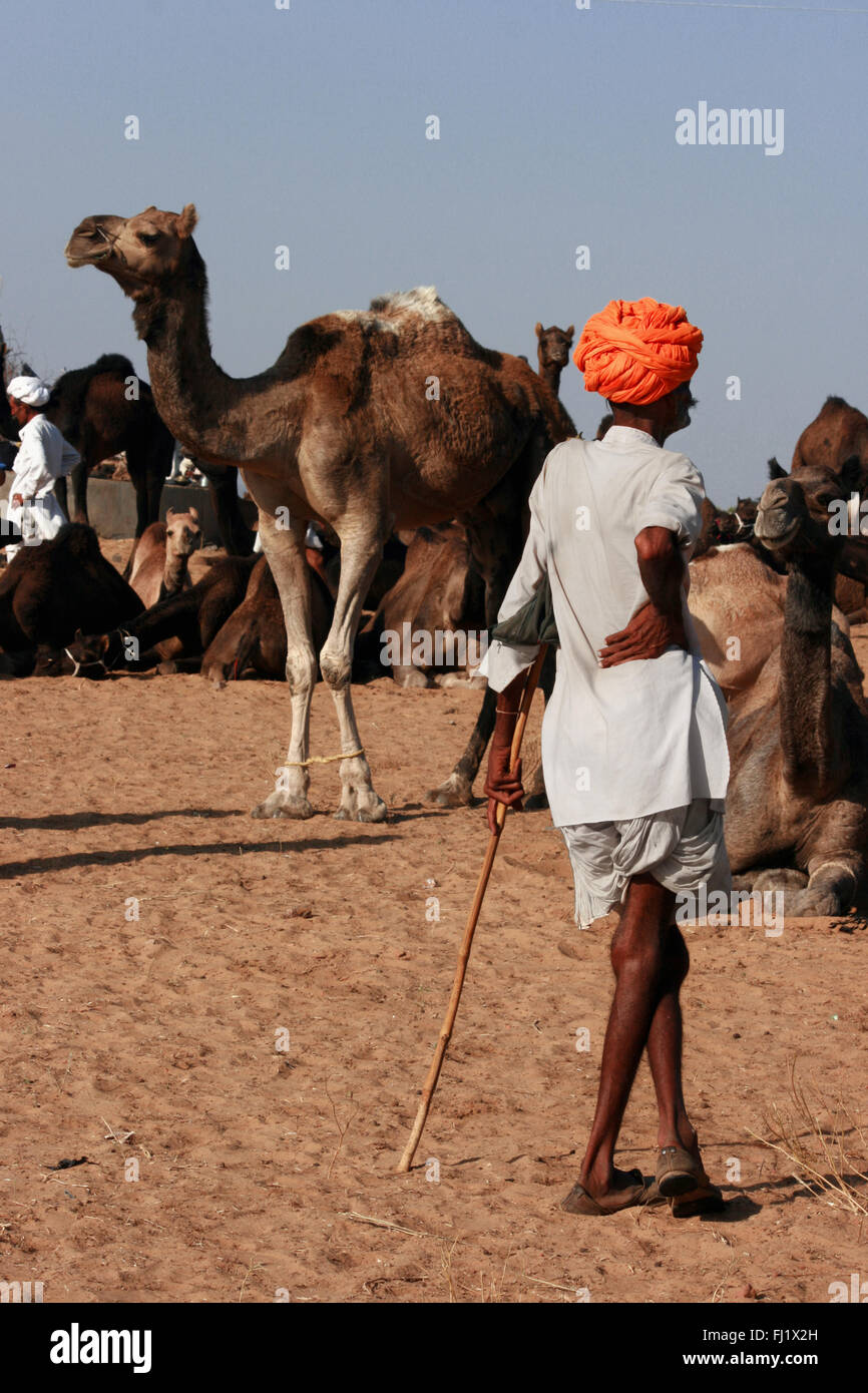 Rajasthani uomo con turbante durante il Pushkar camel fair, India Foto Stock