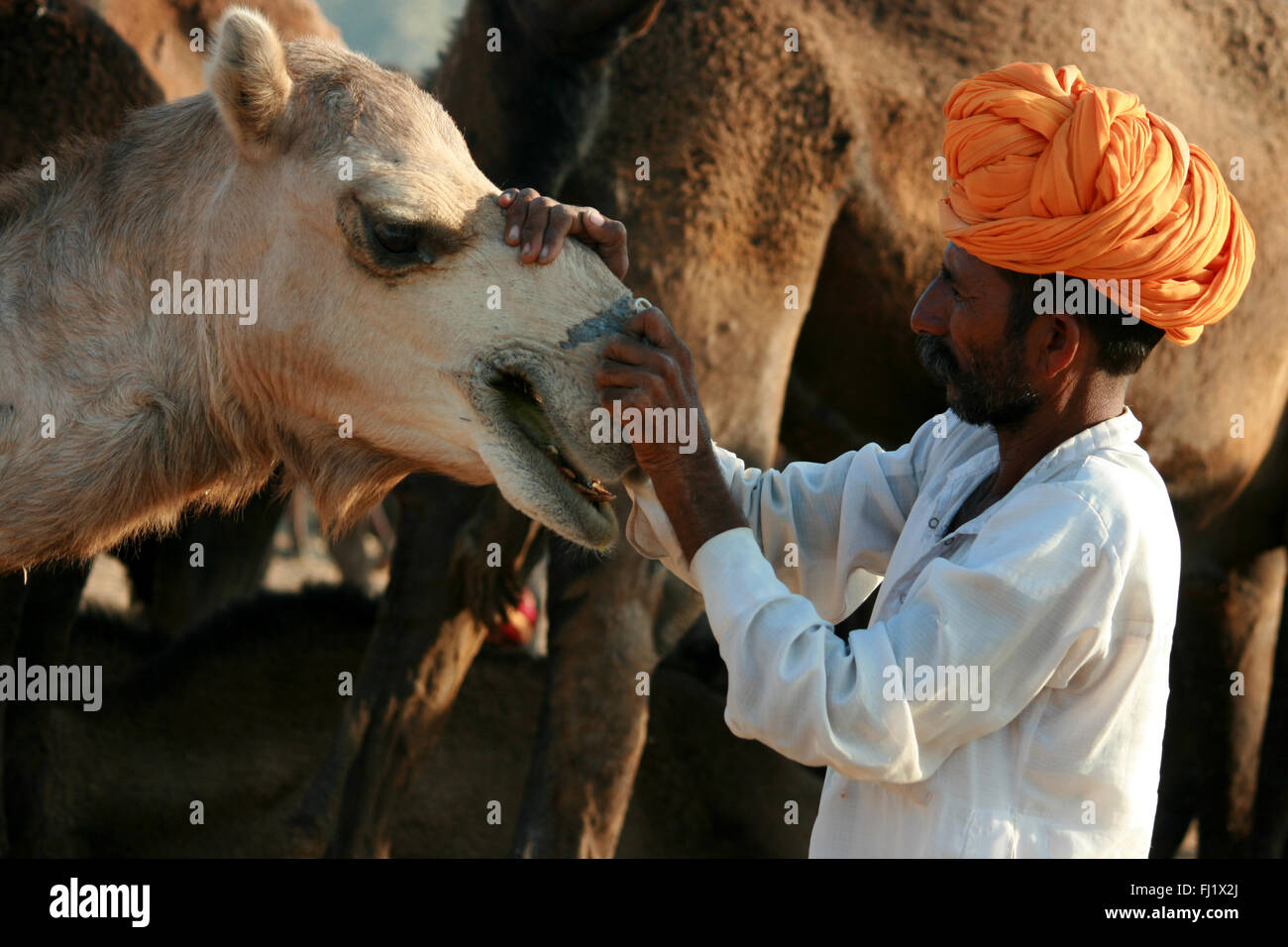 Rajasthani uomo con turbante durante il Pushkar camel fair, India Foto Stock