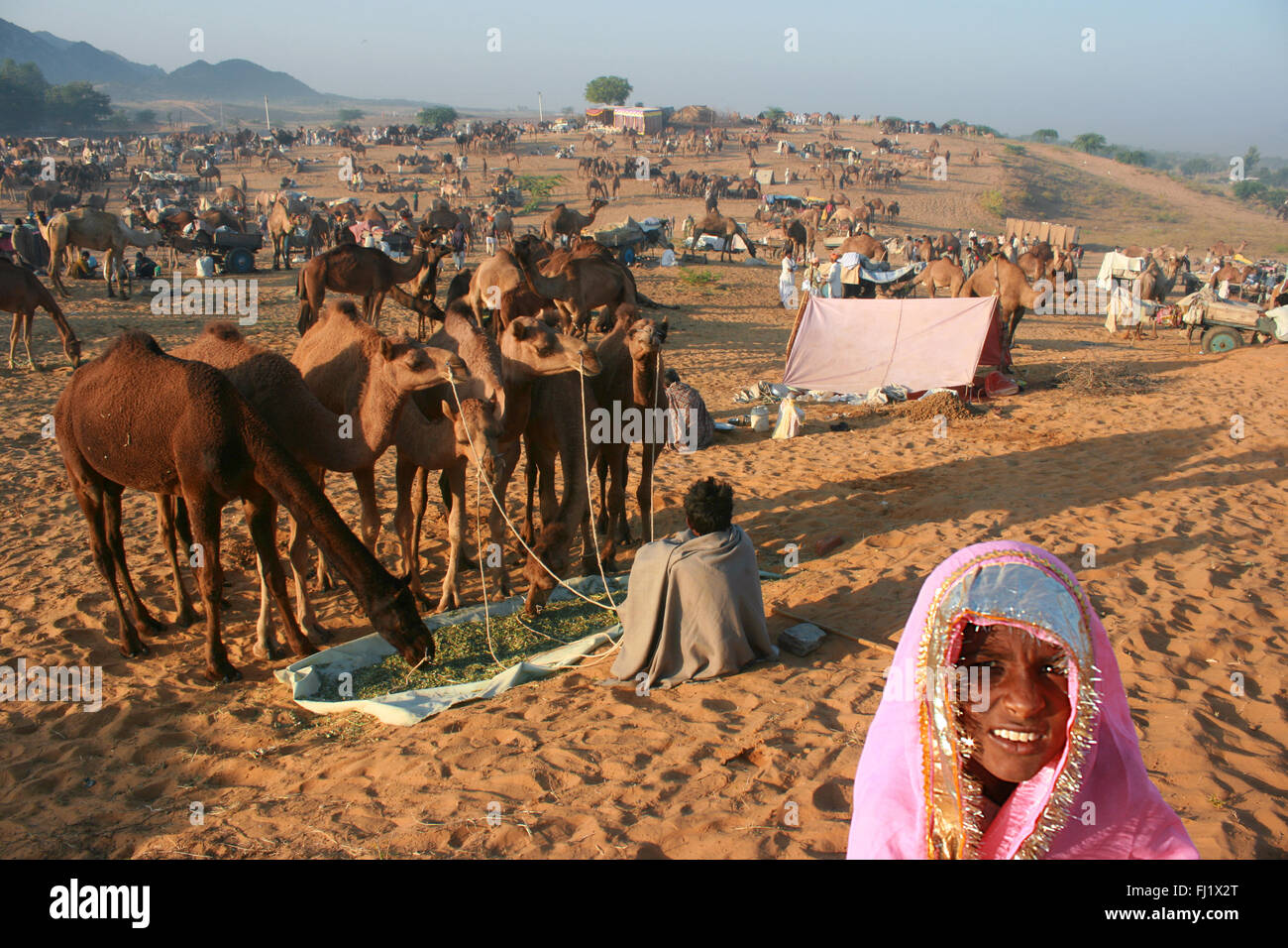 I cammelli e i loro proprietari durante il Pushkar mela camel fair in Rajasthan Foto Stock