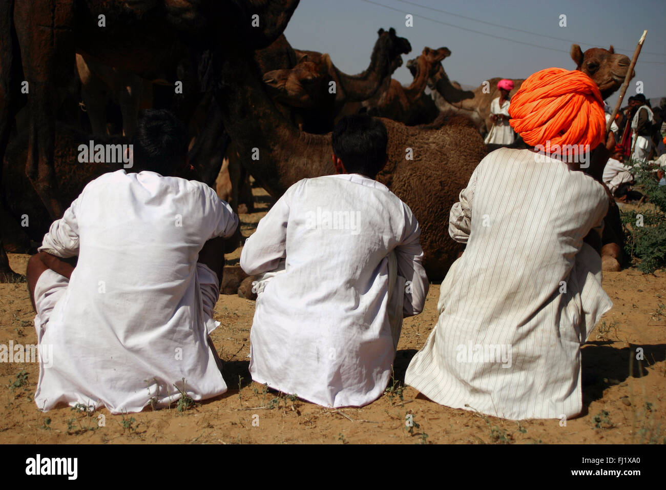 Rajasthani uomo con turbante in Pushkar, Rajasthan Foto Stock