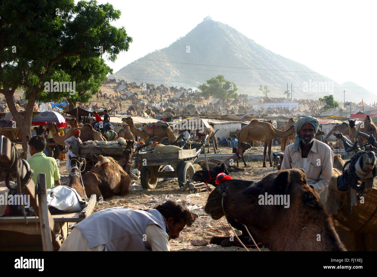 Pushkar mela camel fair , persone , atmosfera e scene di strada Foto Stock