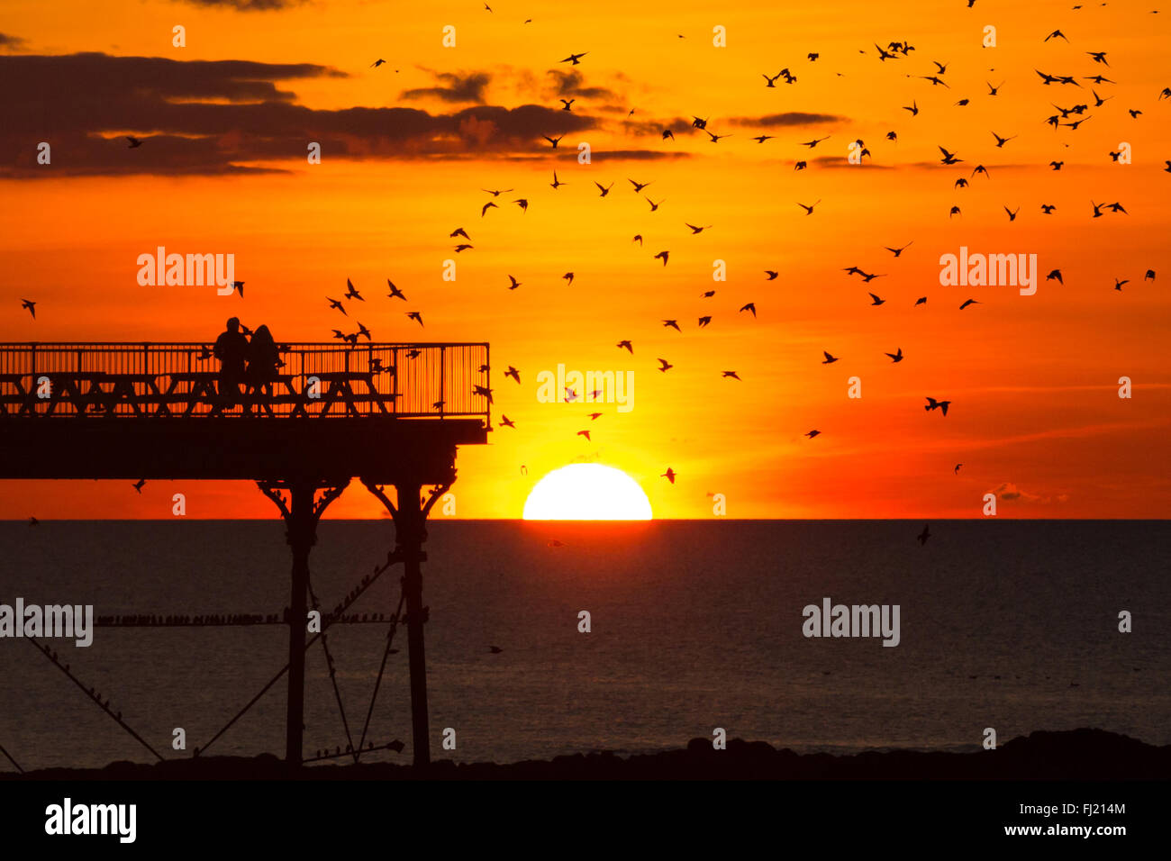 Aberystwyth, Wales, Regno Unito. Il 28 febbraio 2016. Un paio di guardare un intenso tramonto dalla fine di Aberystwyth pier, mentre migliaia di storni swirl intorno prima di stabilirsi a roost sotto il molo per la notte. Foto Stock