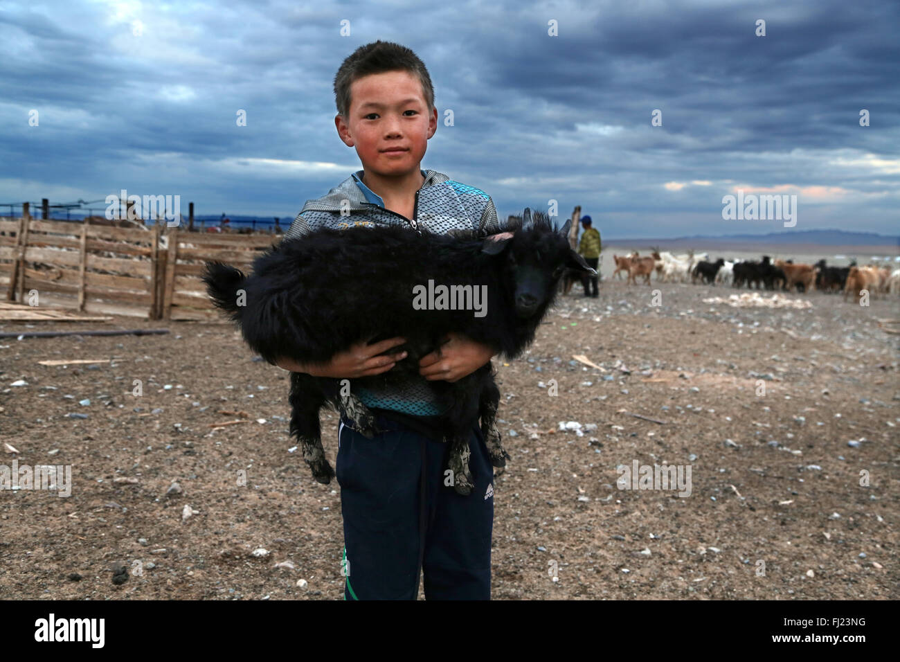 Ritratto di ragazzo con il bestiame nel deserto dei Gobi, Mongolia Foto Stock