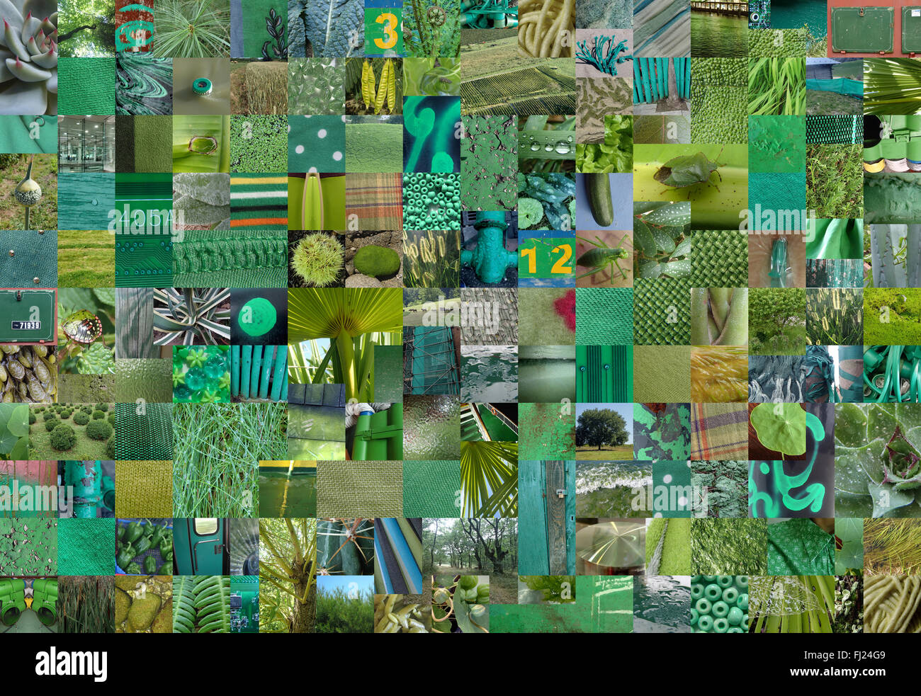 Patchwork collage fatto di molte diverse fotografie - Tema colore Foto Stock