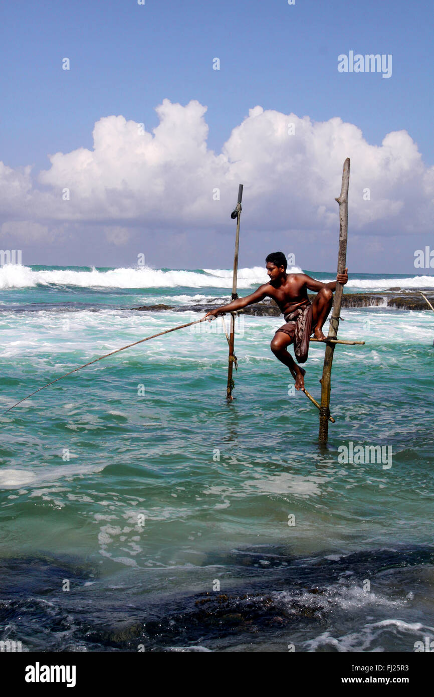 La pesca tradizionale / pescatori in Sri Lanka Foto Stock