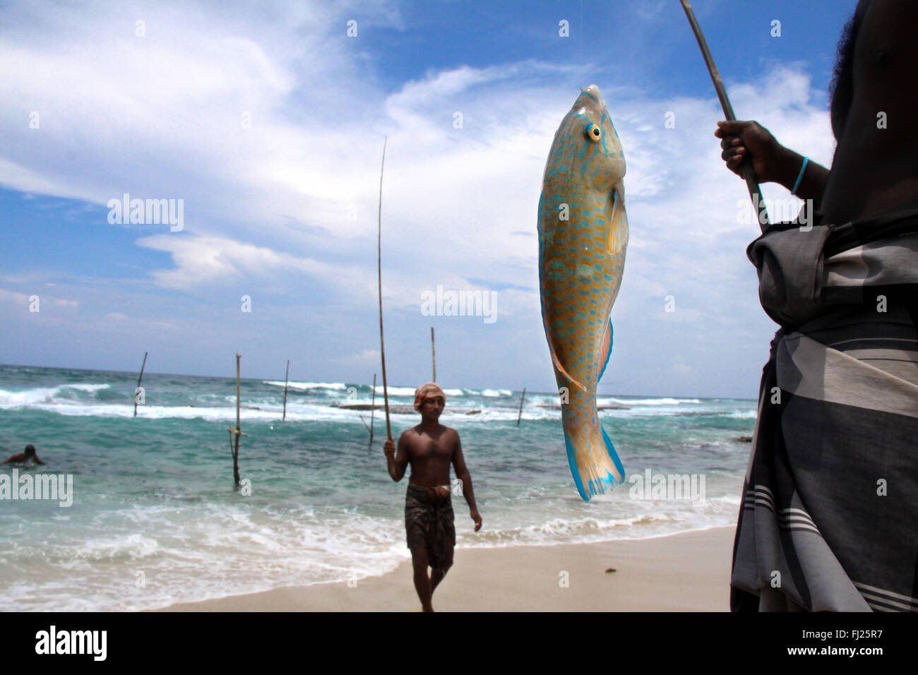 La pesca tradizionale / pescatori in Sri Lanka Foto Stock