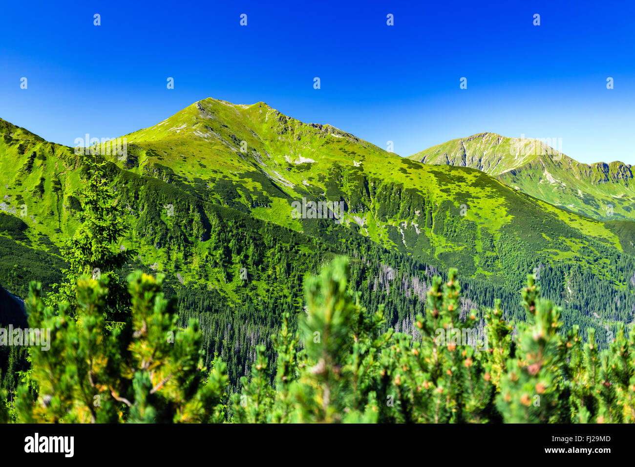 Ispirando Montagne Paesaggio, giornata di sole in estate Tatra, montagna cresta su blu cielo soleggiato, Polonia in Europa Foto Stock