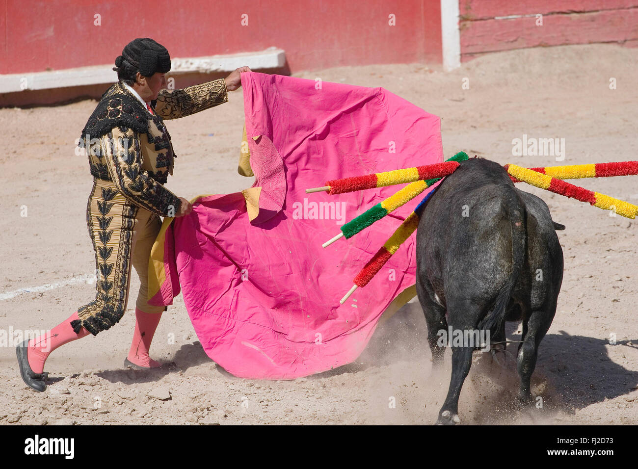 Un MATADOR combatte un toro nella Plaza de Toros - San Miguel De Allende, Messico Foto Stock