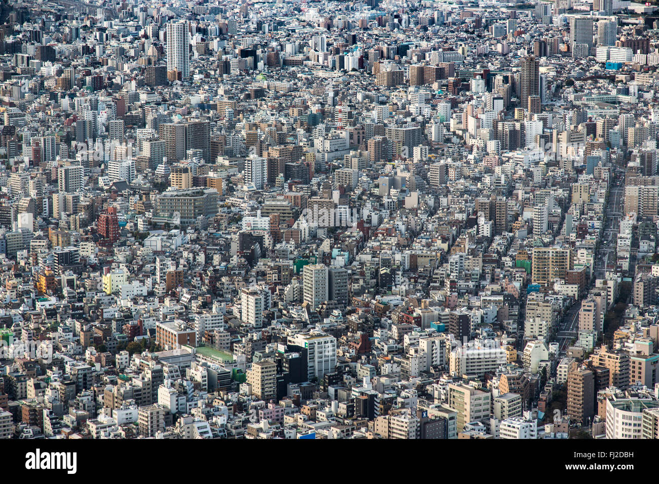 Gli uccelli in prospettiva su Tokyo Foto Stock
