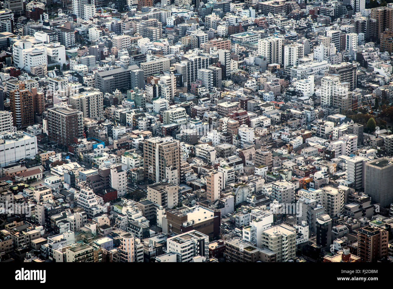 Gli uccelli in prospettiva su Tokyo Foto Stock