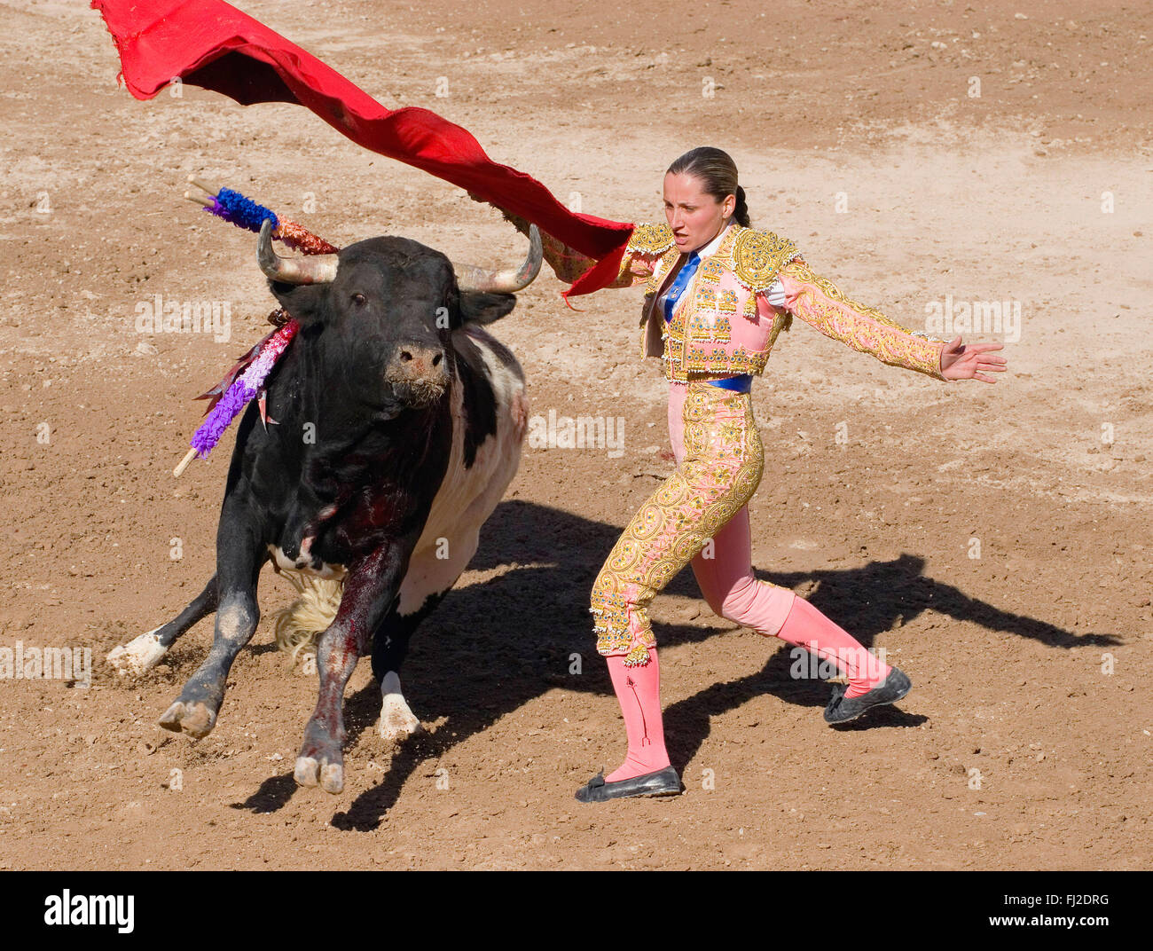 La femmina matador RAQUEL SANCHEZ combatte un toro nella Plaza de Toros - San Miguel De Allende, Messico Foto Stock